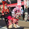 備後東城・お通り～似合うかしら(*_*)