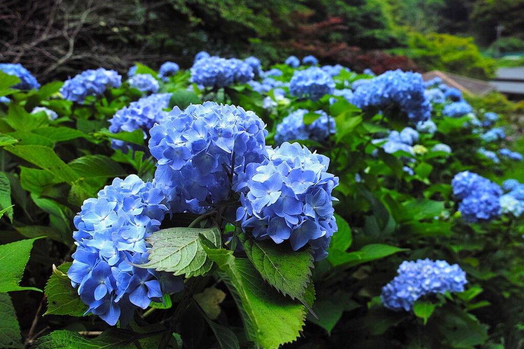 群青の世界～