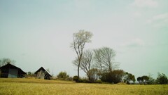 長閑な風景～