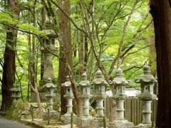 中秋の仏通寺