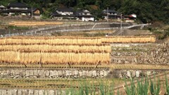 里の秋景色～