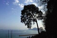 春まだ浅い睦の丘