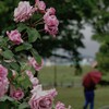 小雨模様の春日池公園