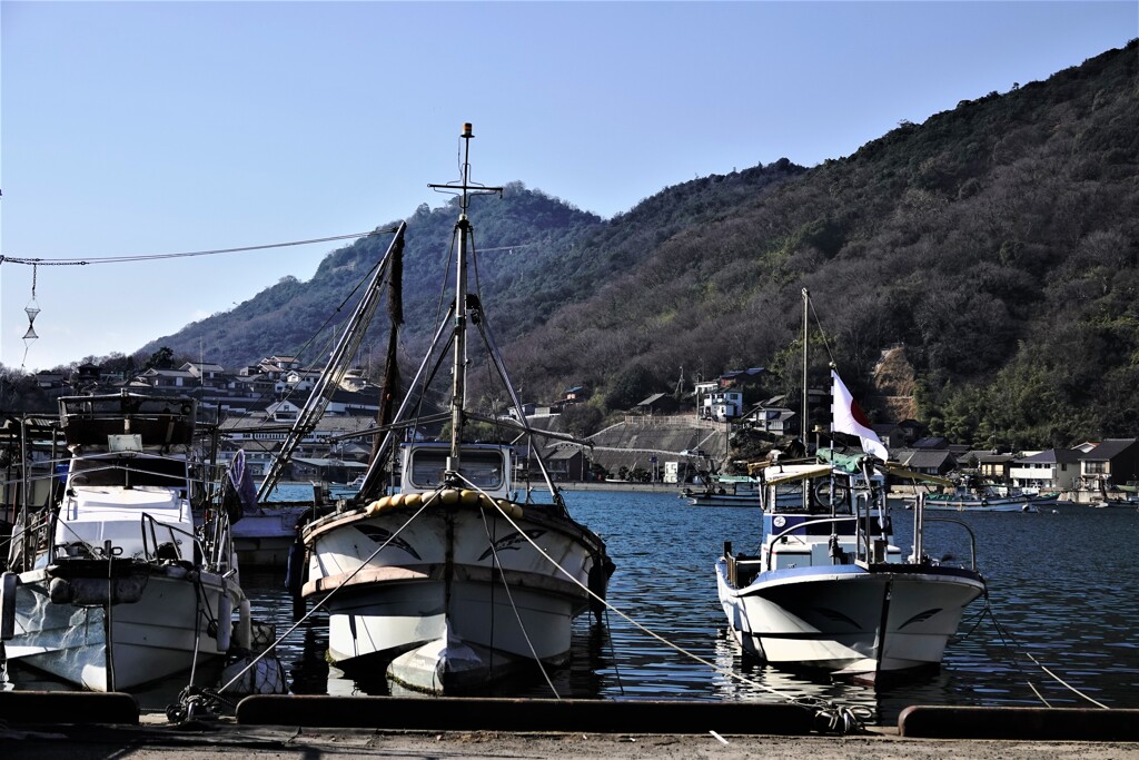 迎春～鞆の浦