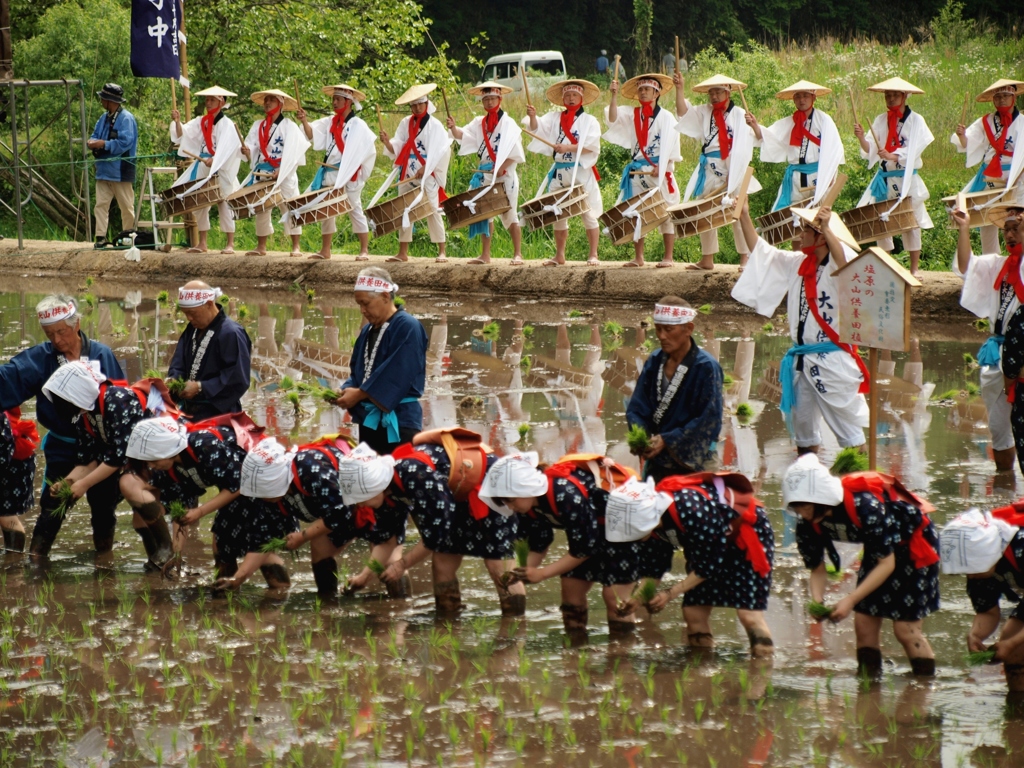 大山供養田植　１