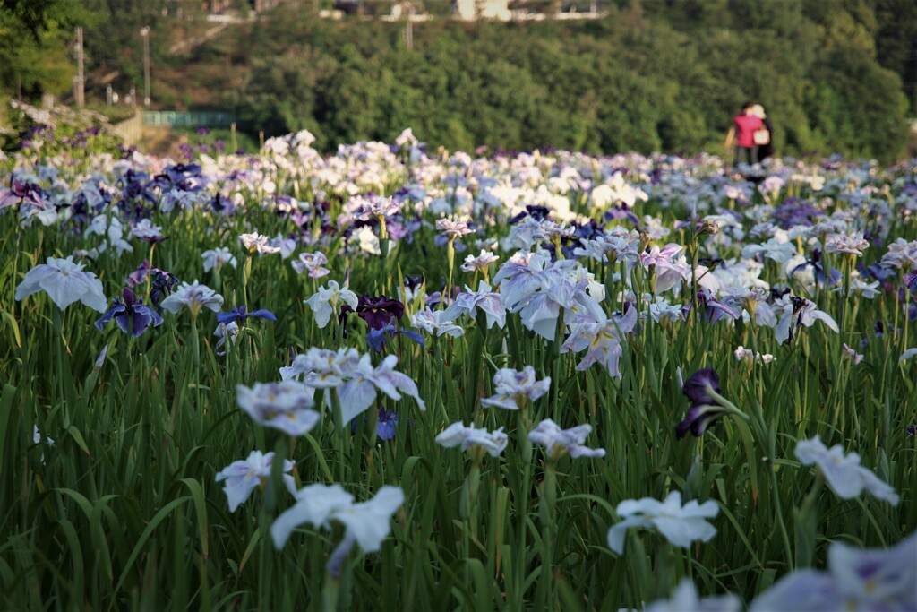 夕暮れせまる公園にて　１