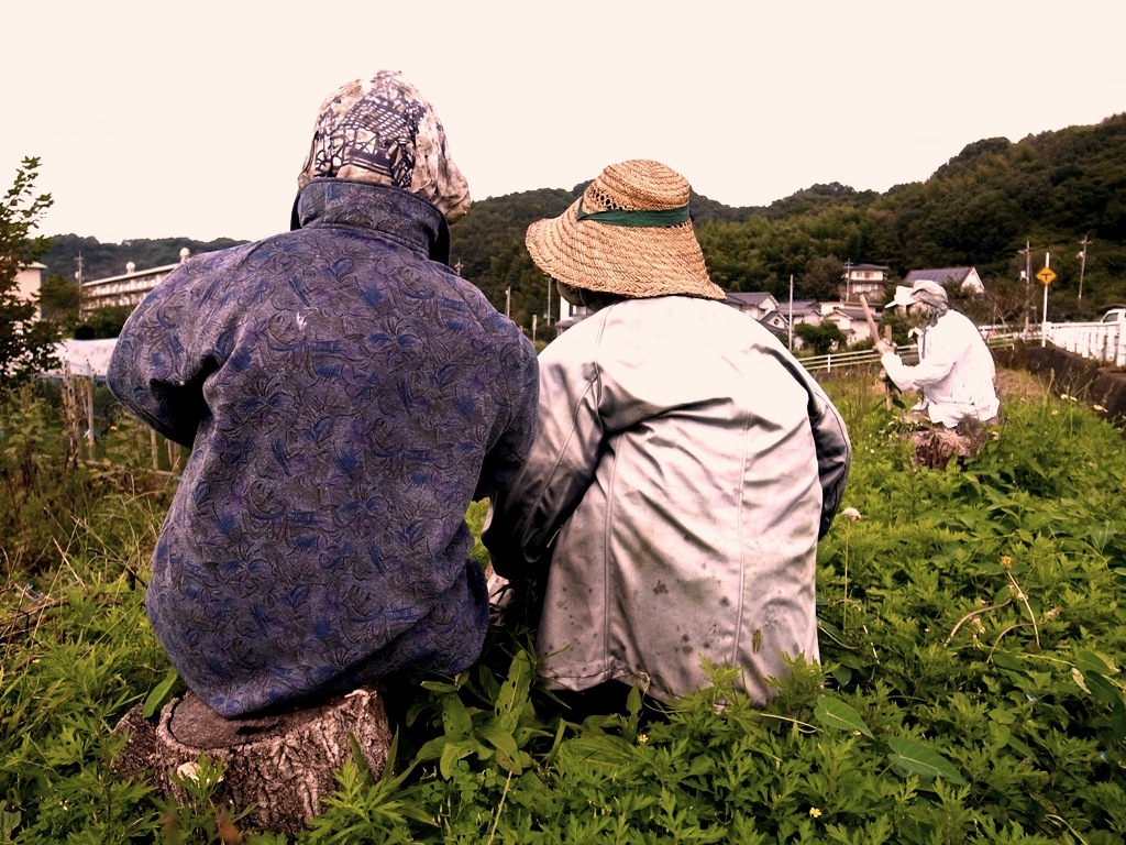 リアル　案山子