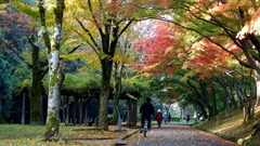 晩秋の姫路公園