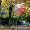 晩秋の姫路公園