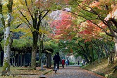 晩秋の姫路公園～メモリアル姫路