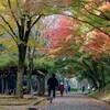 晩秋の姫路公園～メモリアル姫路