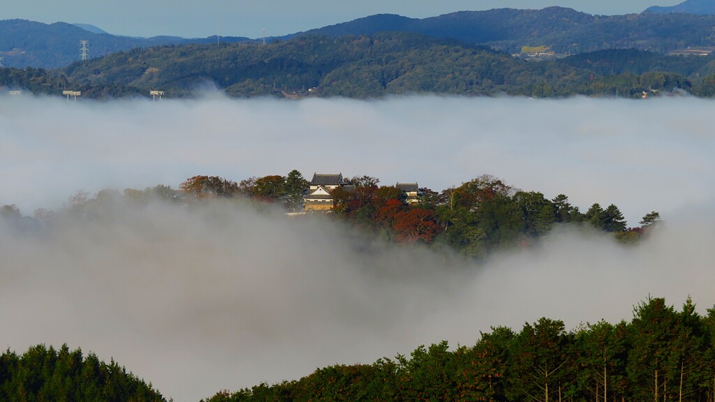 雲海と山城～