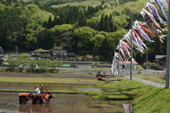 ５月の田園風景