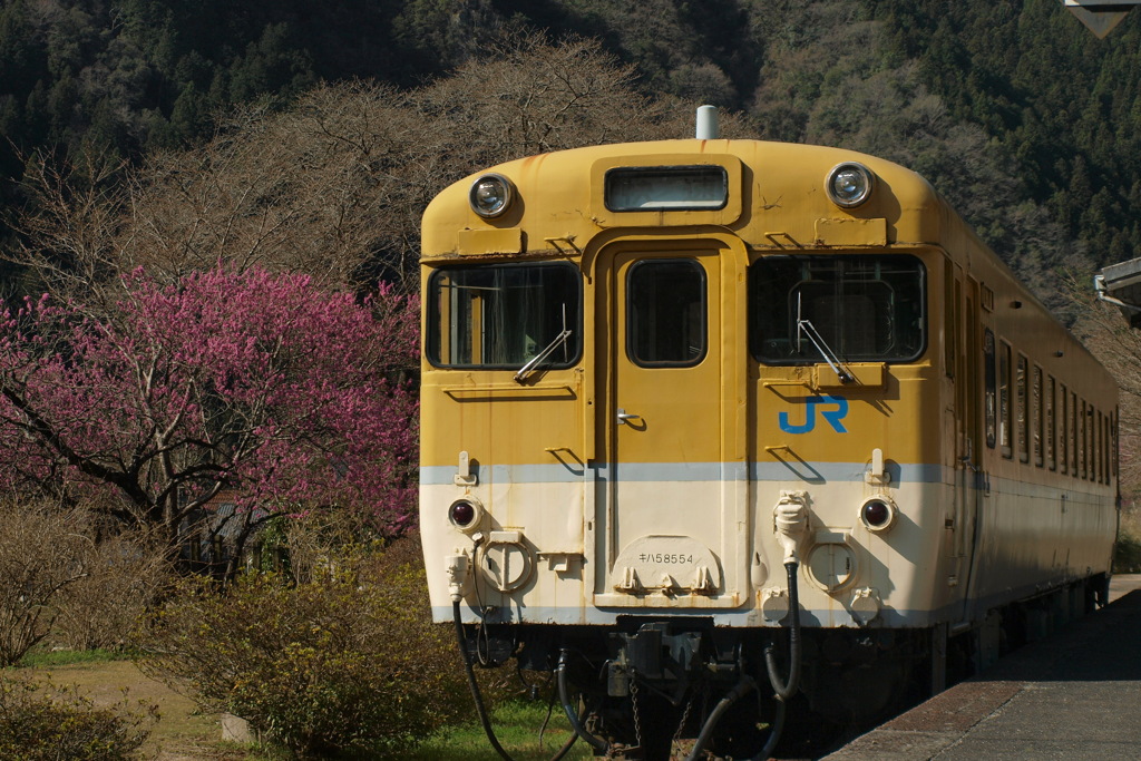 可部線の元・安野駅～キハ５８