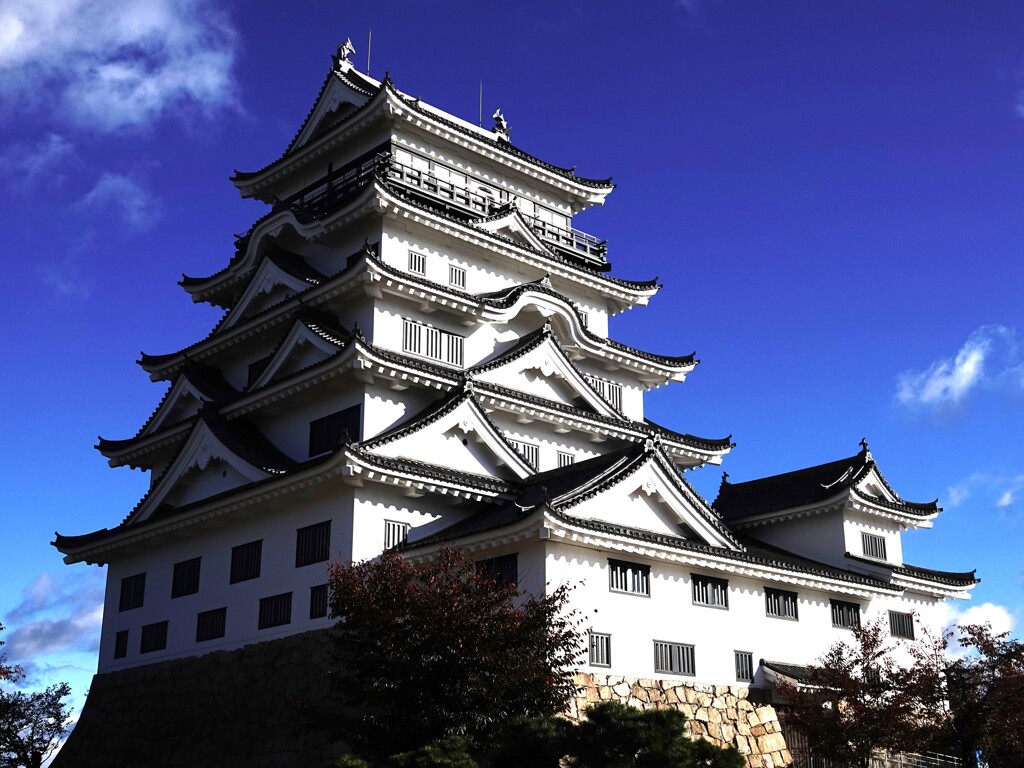 青空に映える福山城～