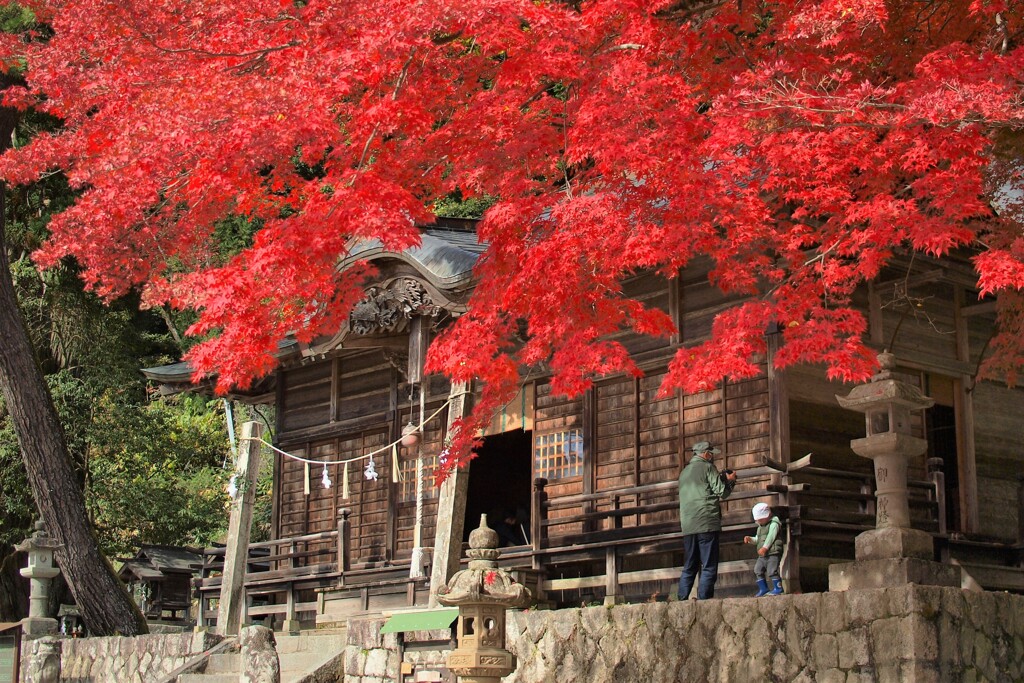 今年はどうかな～