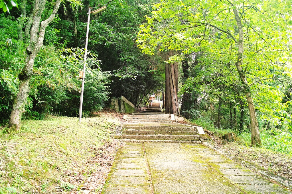 本殿は遥か彼方に～長い参道を喘ぎながら