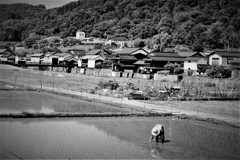 日本の原風景～平福