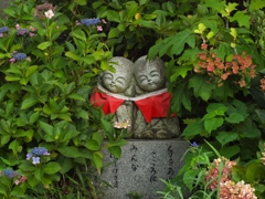 紫陽花は終わりですね