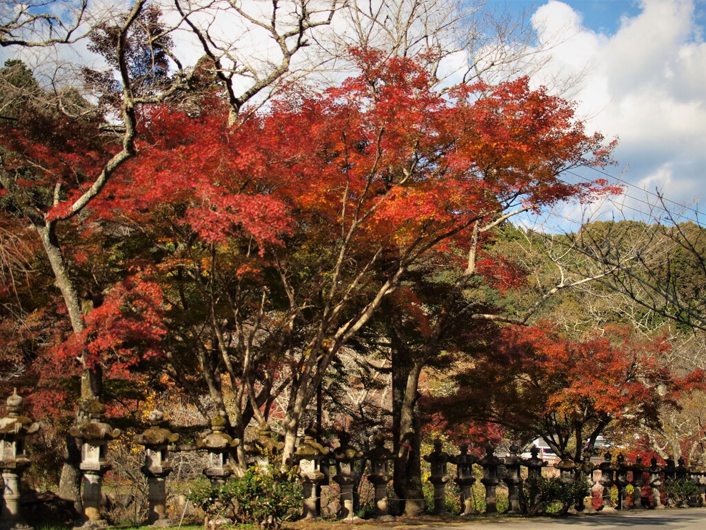 秋本番～御調八幡神社