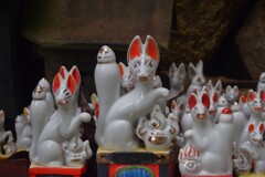 白狐がいっぱい～