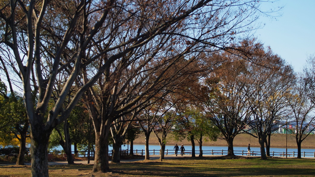 小春日和の公園にて～