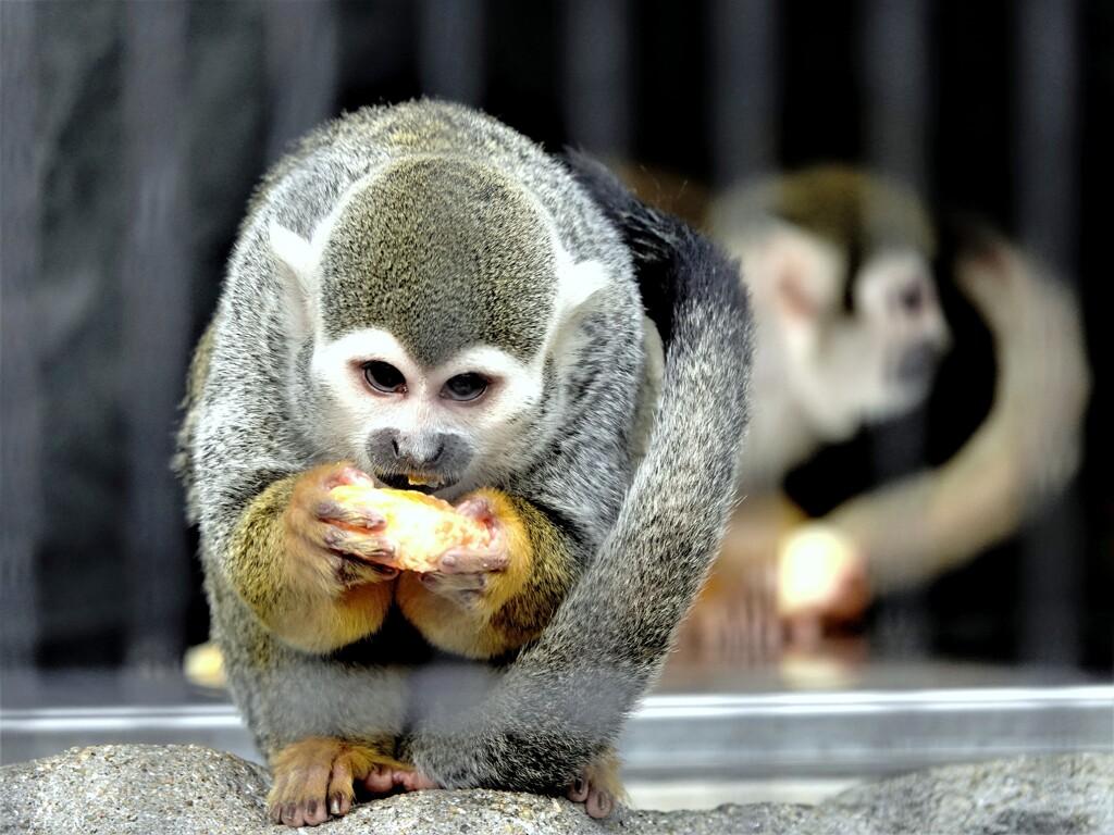 しっかり食べて冬をやり過ごそう～