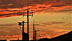 朝焼け～電柱シルエット