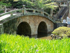 眼鏡橋と杜若～菅原神社
