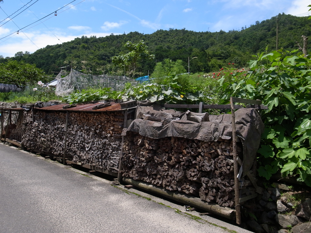里山風景