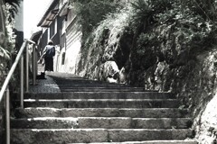 円福寺への石段～鞆の浦