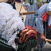 獅子舞い奉納～稲生神社