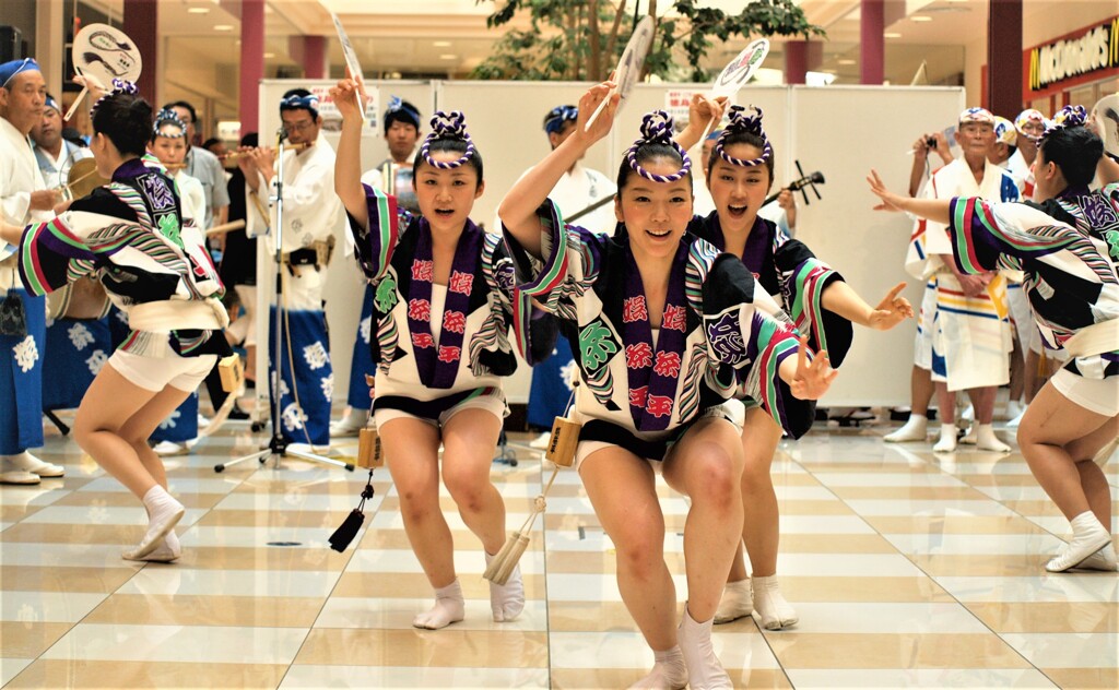 阿波踊りがやって来た～
