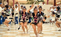 阿波踊りがやって来た～
