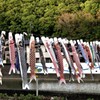 泳がない鯉のぼりは様にならない～　１