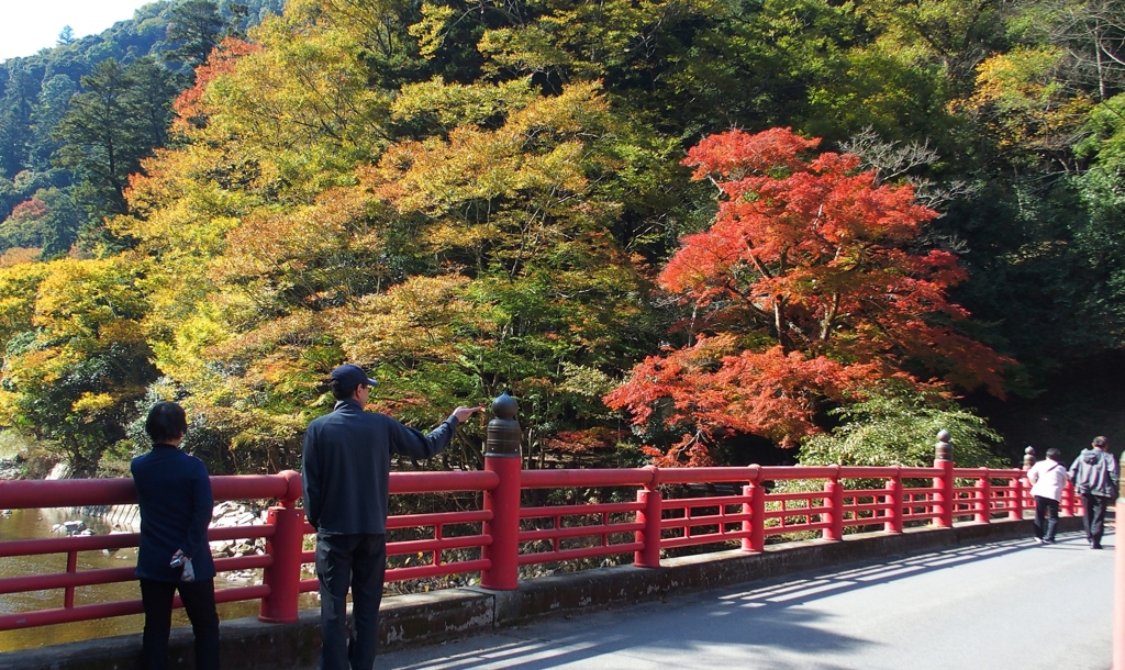 天神峡の紅葉