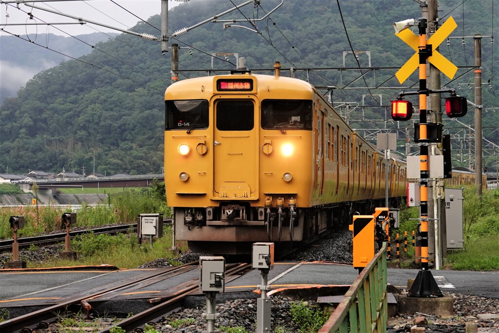 播州赤穂行き電車～伯備線