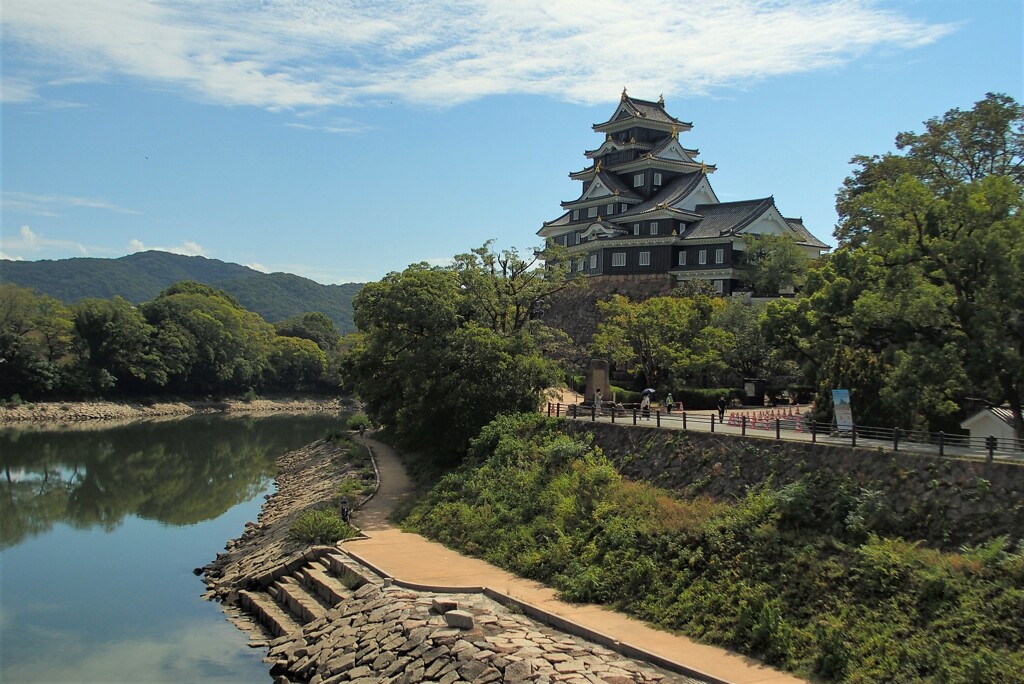 漆黒の城～岡山城（烏城）１