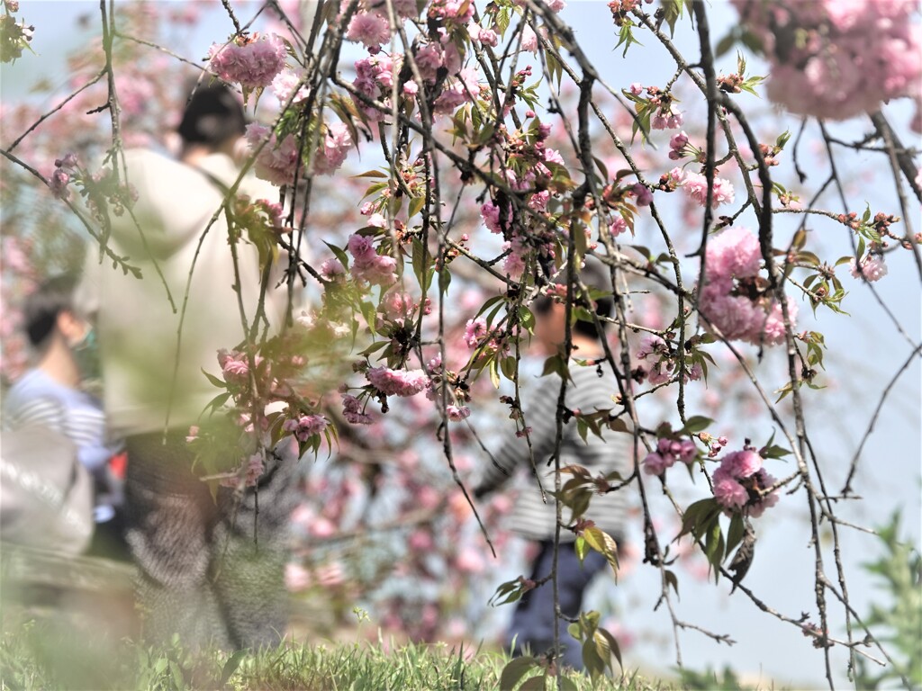 春の陽気に誘われて～