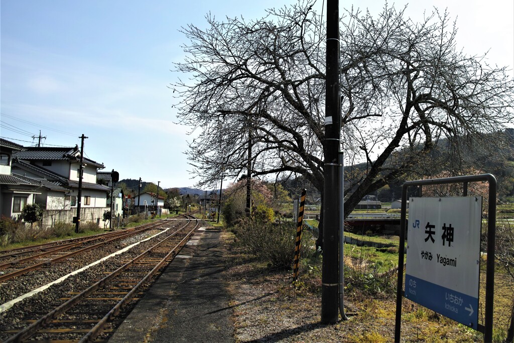 矢神駅～芸備線