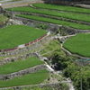山里の田園