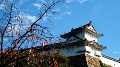 晩秋の姫路城　２