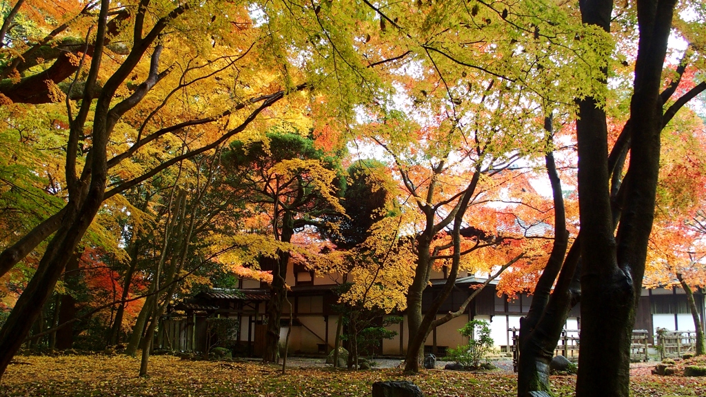 龍野公園　２