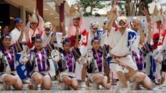 阿波踊り　娯茶平