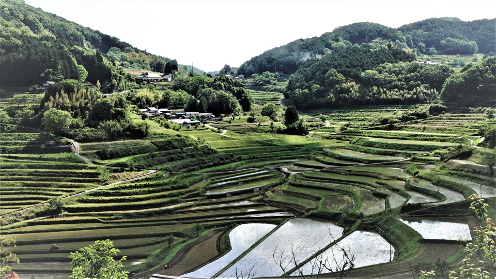 大垪和西の棚田