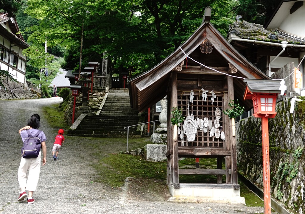 祇園祭りの頃～須佐神社