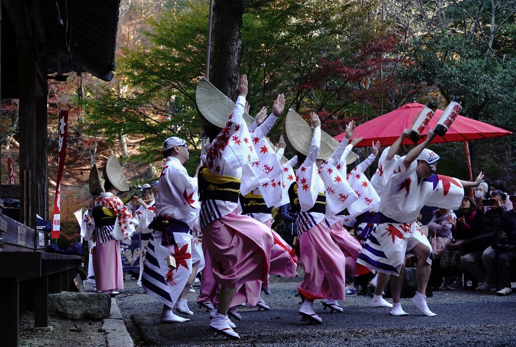 阿波踊りがやって来た～大田庄祭り　1