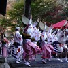 阿波踊りがやって来た～大田庄祭り　1