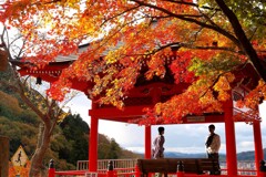 晩秋の今高野山～