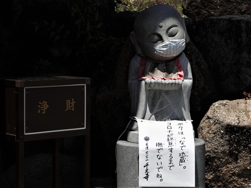 今は撫でないでね～尾道・千光寺